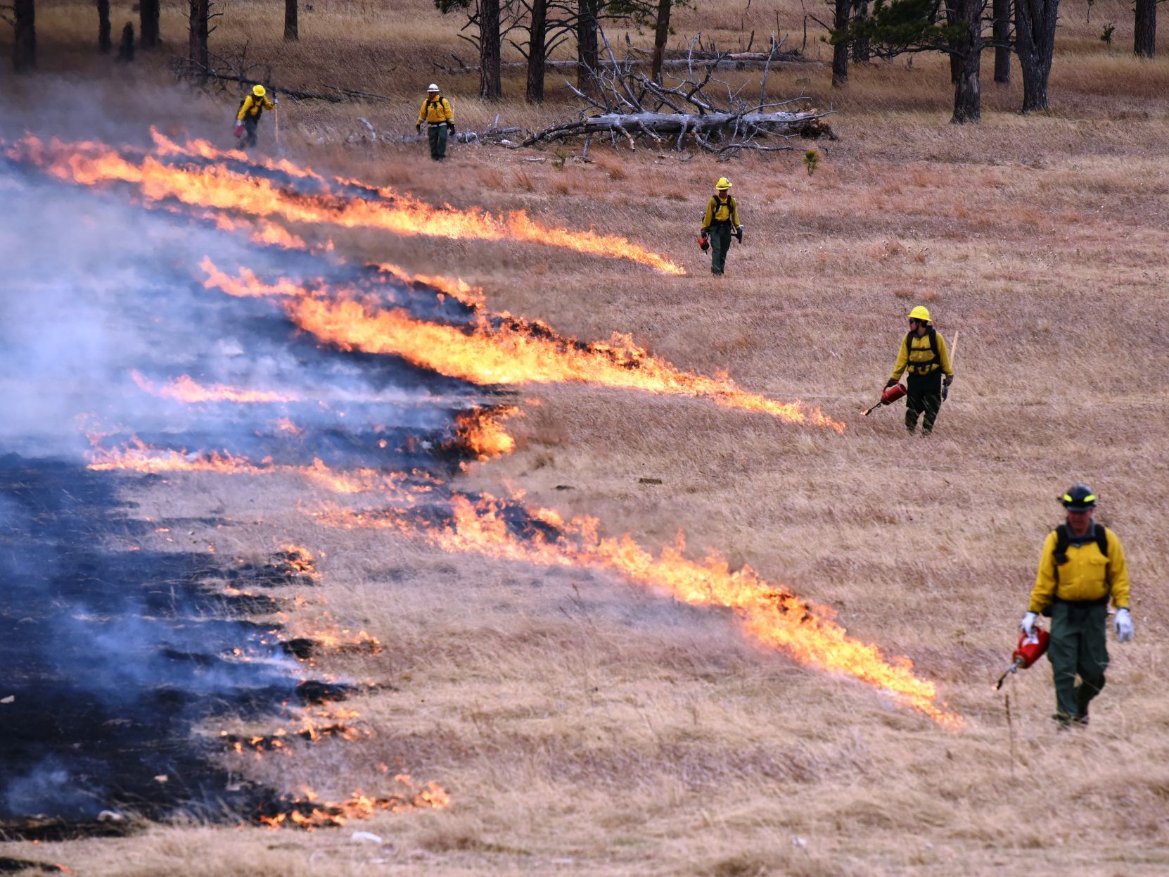 Legion Lake Fire (copy)